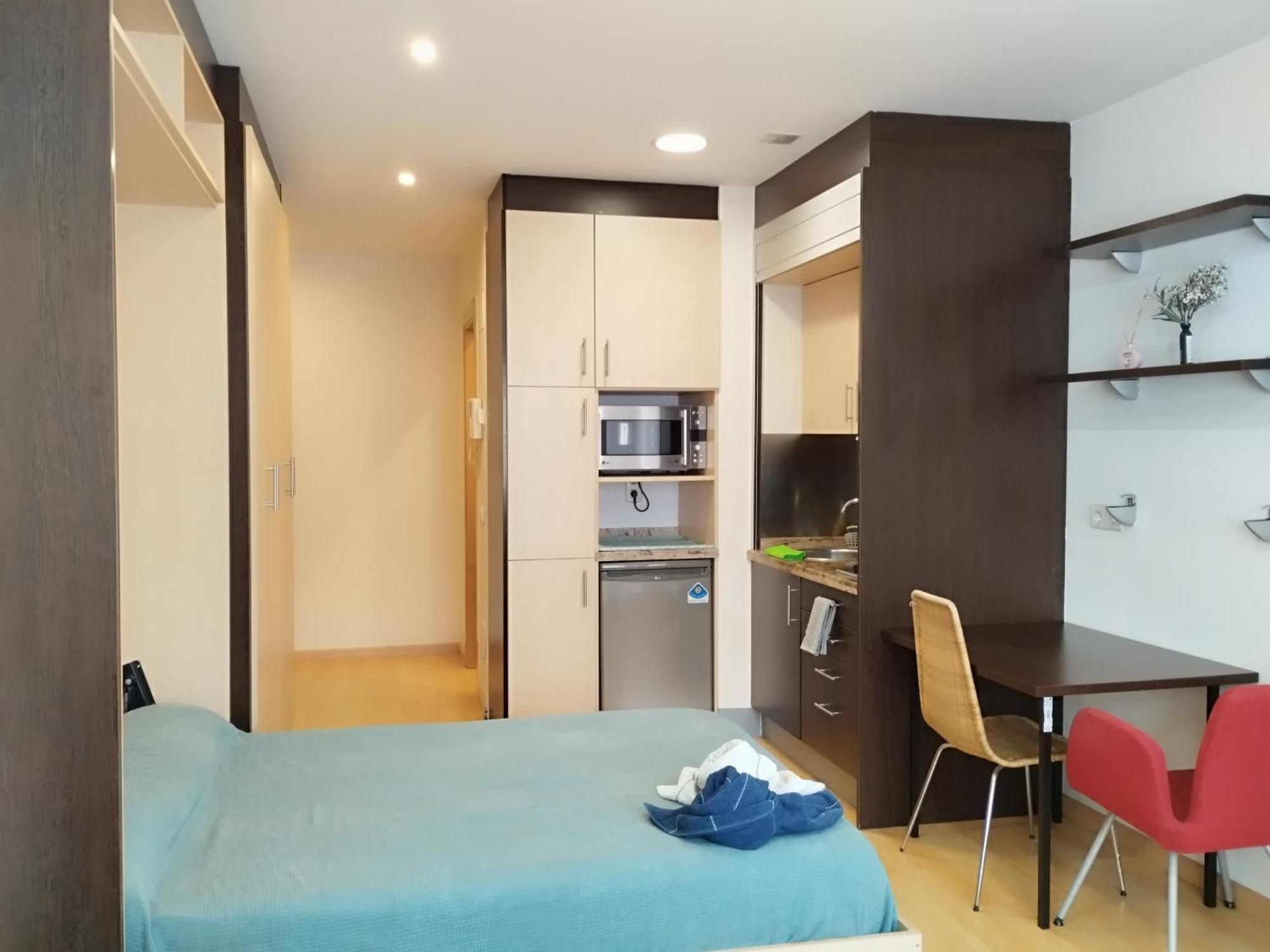 Apartamento Estudio Centrico D2 *